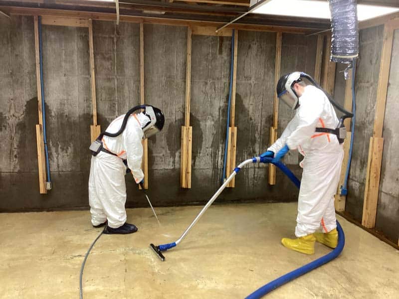 water damage services