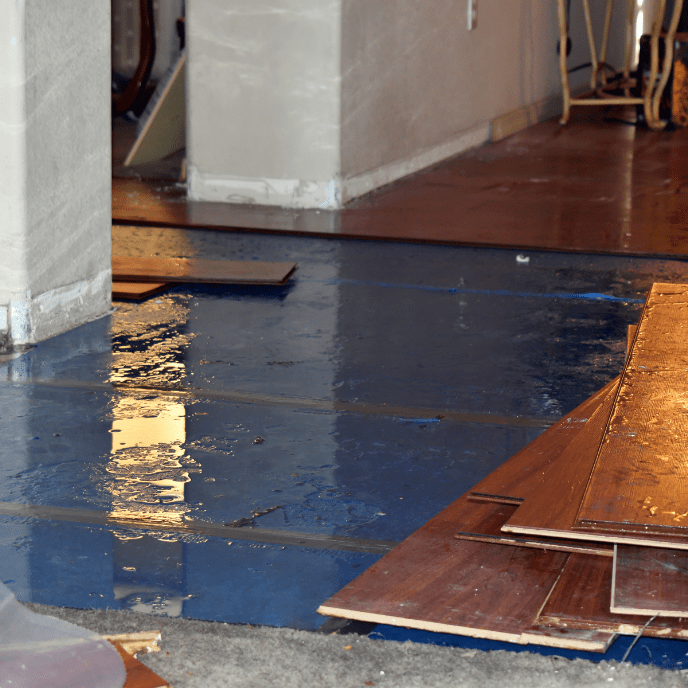 Water damage drying service in Texas after heavy rain using professional equipment